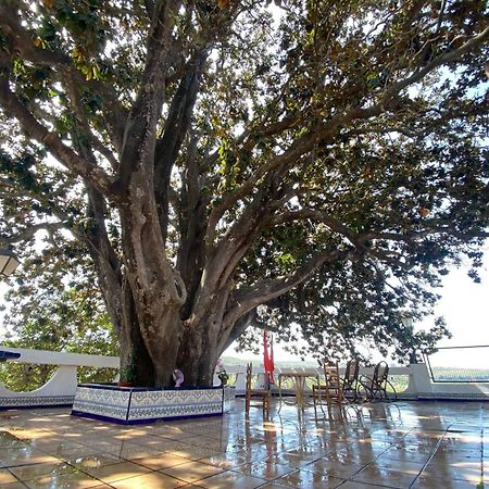 Casa Magnolia, A Rural Paradise House With Pool 阿尔兹拉 外观 照片