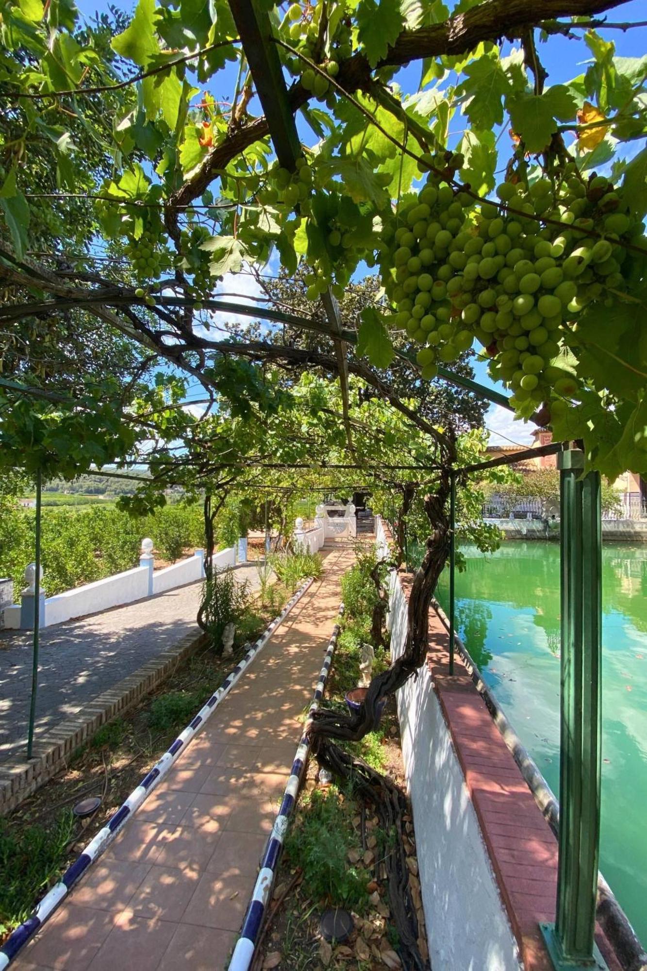 Casa Magnolia, A Rural Paradise House With Pool 阿尔兹拉 外观 照片