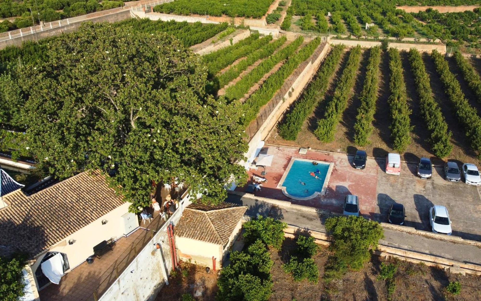 Casa Magnolia, A Rural Paradise House With Pool 阿尔兹拉 外观 照片