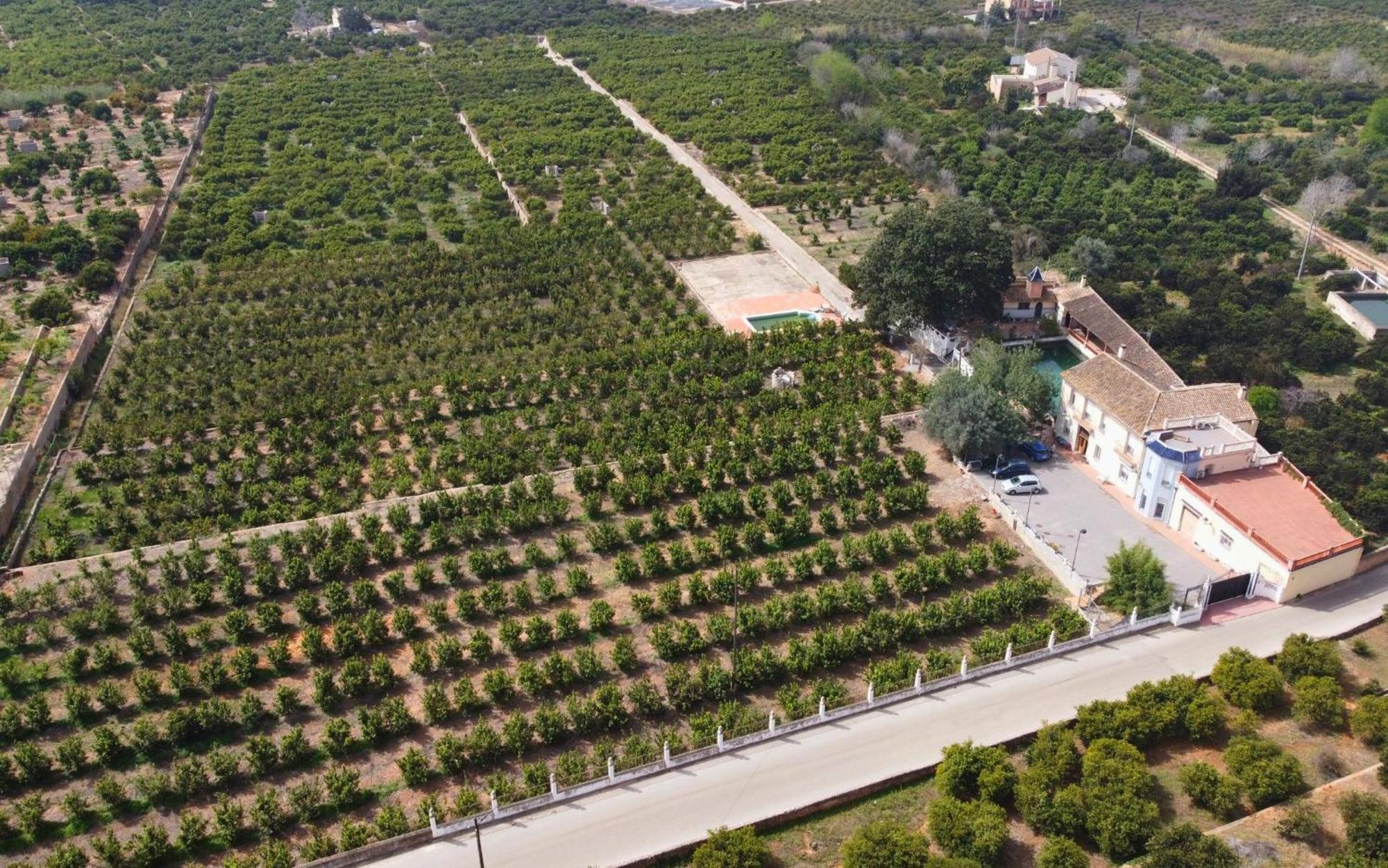 Casa Magnolia, A Rural Paradise House With Pool 阿尔兹拉 外观 照片