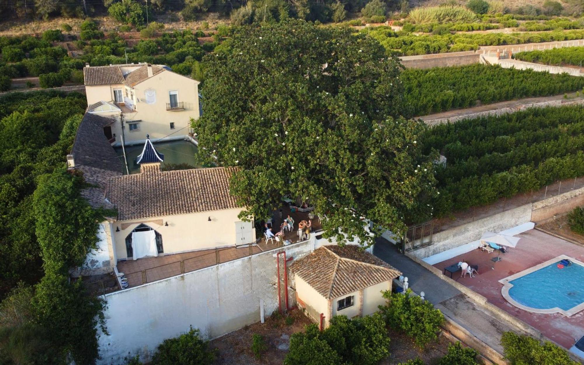 Casa Magnolia, A Rural Paradise House With Pool 阿尔兹拉 外观 照片
